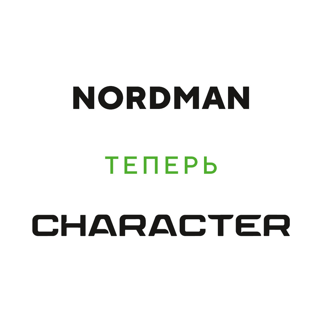 245/70  R16  Ikon (Nokian Tyres) Nordman S2 SUV (Character Aqua SUV) 107T Вид 2
